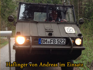 Haflinger Andreas